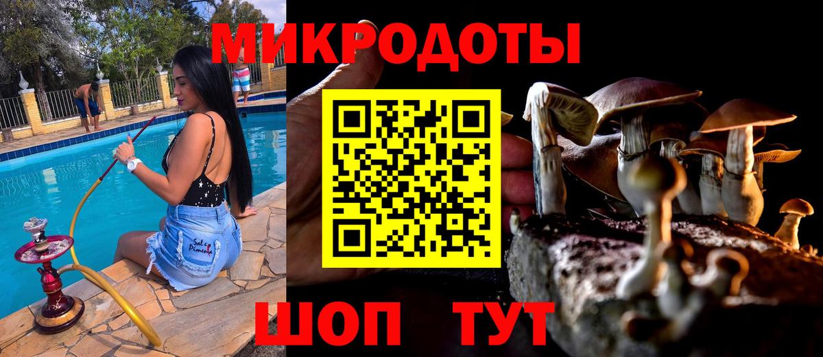 Псилоцибиновые грибы Cubensis Зерноград